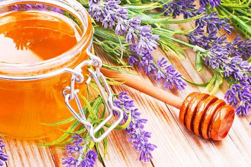 Domaći melem za opekline od svega dva sastojka – lavande i meda