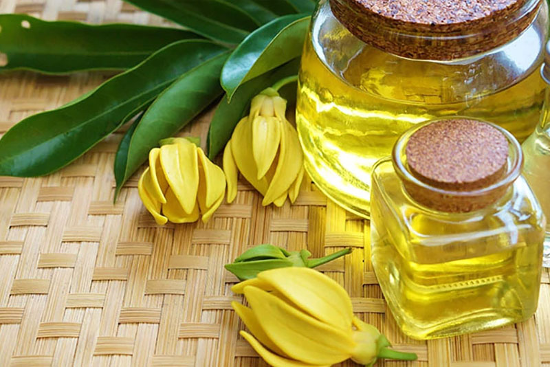 Ulje ylang-ylanga –  čaroban miris za dobro raspoloženje, zdravlje i dugovječnost