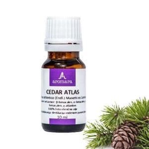 BIO Eterično ulje Cedar atlas Aromara 10ml - Alternativa Webshop