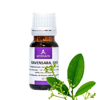 BIO Eterično ulje Ravintsara Aromara 10ml - Alternativa Webshop