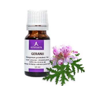 Eterično Geranij Aromara 10ml - Alternativa Webshop