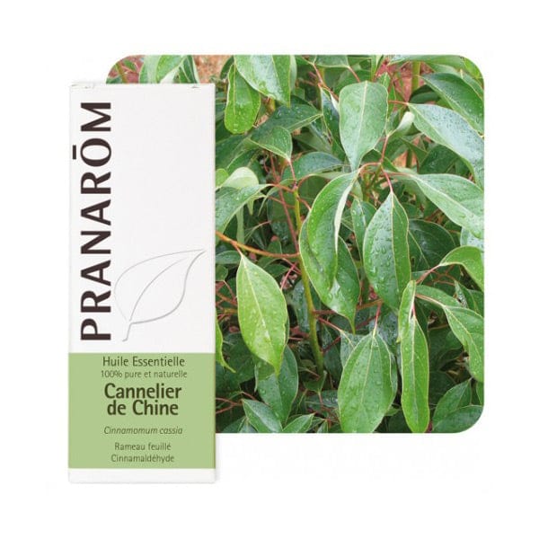 Eterično ulje cimet list (Cinnamomum Cassia) Pranarom 10ml - Alternativa Webshop