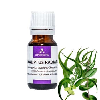 Eterično ulje Eukaliptus radiata Aromara 10ml - Alternativa Webshop