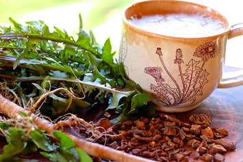 Kava od korijena maslačka – vaš novi zdravi jutarnji napitak