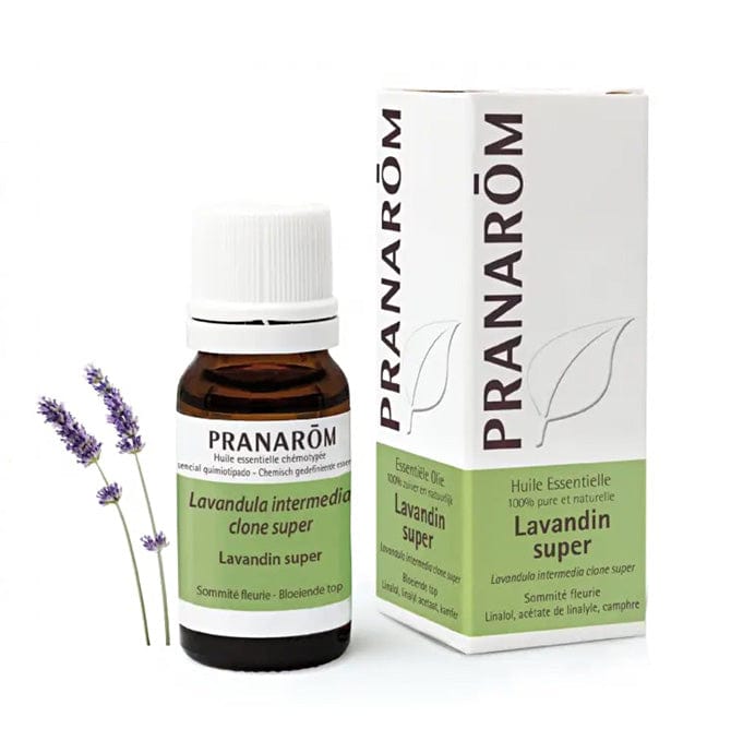 Eterično Lavadin super (lavandula hybrida super) Pranarom 10ml - Alternativa Webshop