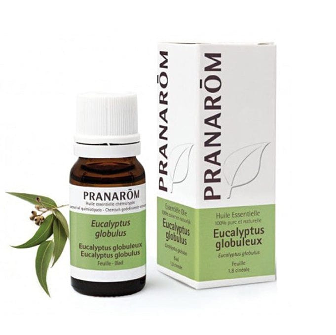 Eterično ulje eukaliptus globulus Pranarom 10ml - Alternativa Webshop