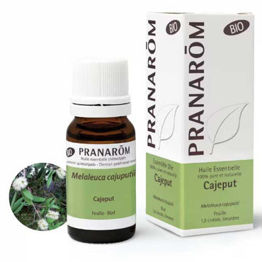 Eterično ulje Kajeput  Pranarom 10ml - Alternativa Webshop