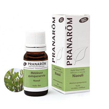 Eterično ulje Niauli Pranarom BIO 10ml - Alternativa Webshop