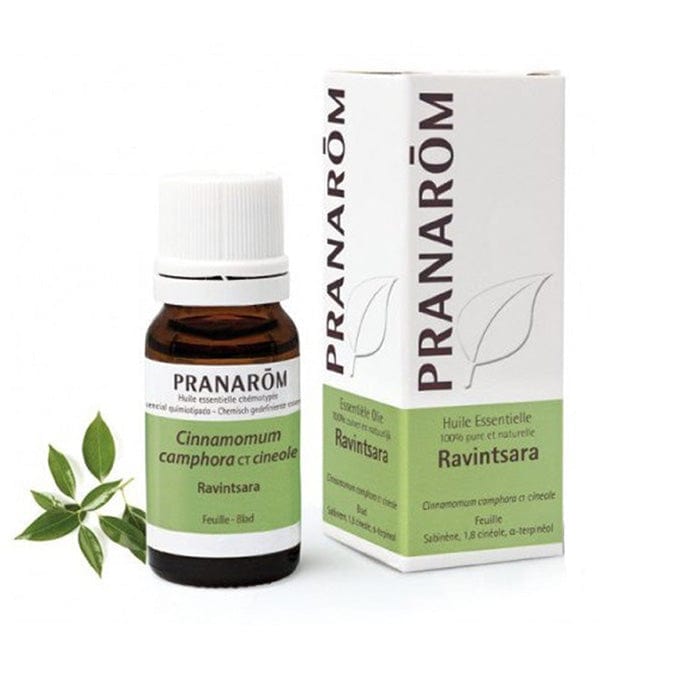 Eterično ulje Ravintsara kt cineol Pranarom Bio 10ml - Alternativa Webshop