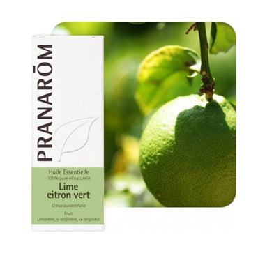 Eterično Limeta (Citrus aurantifolia) Pranarom 10ml - Alternativa Webshop